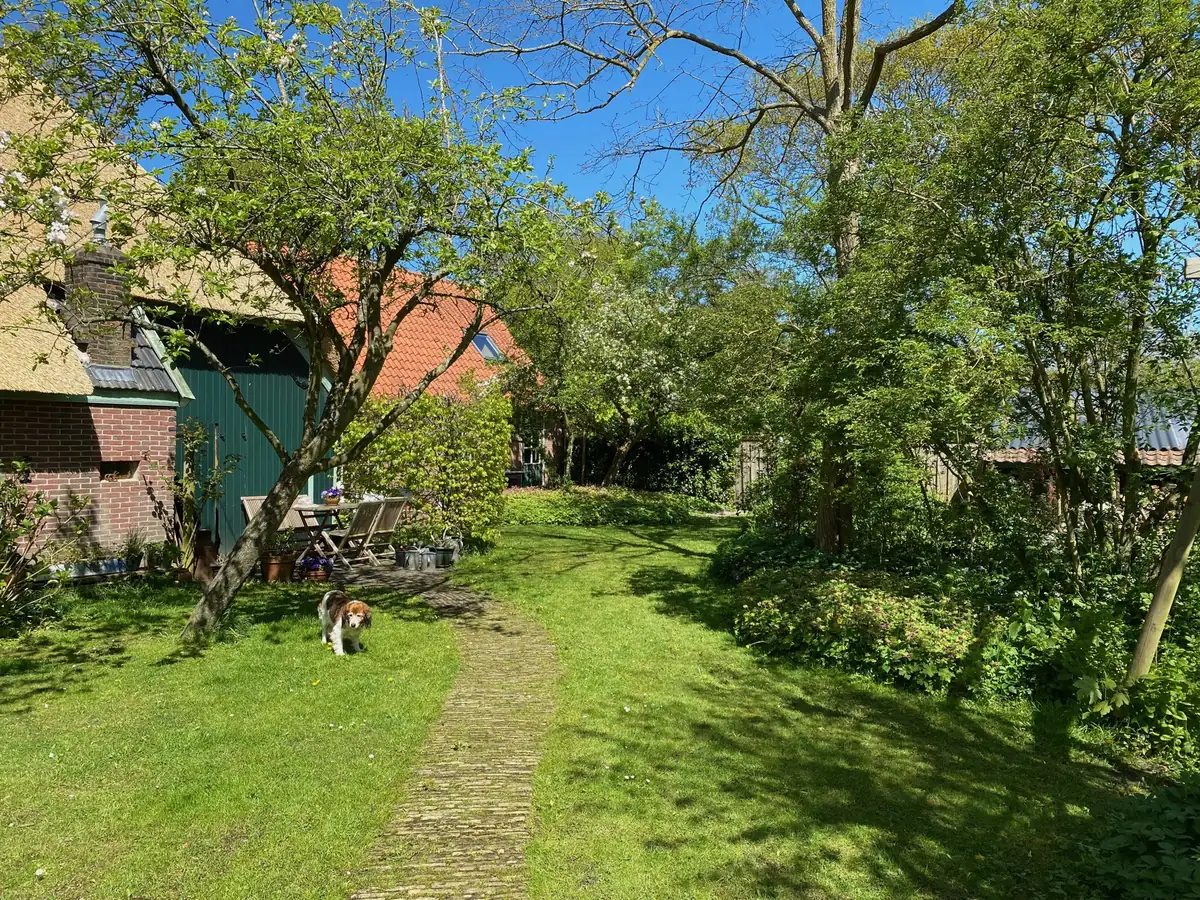 Het tuinpad langs het huis, de boerentuin in