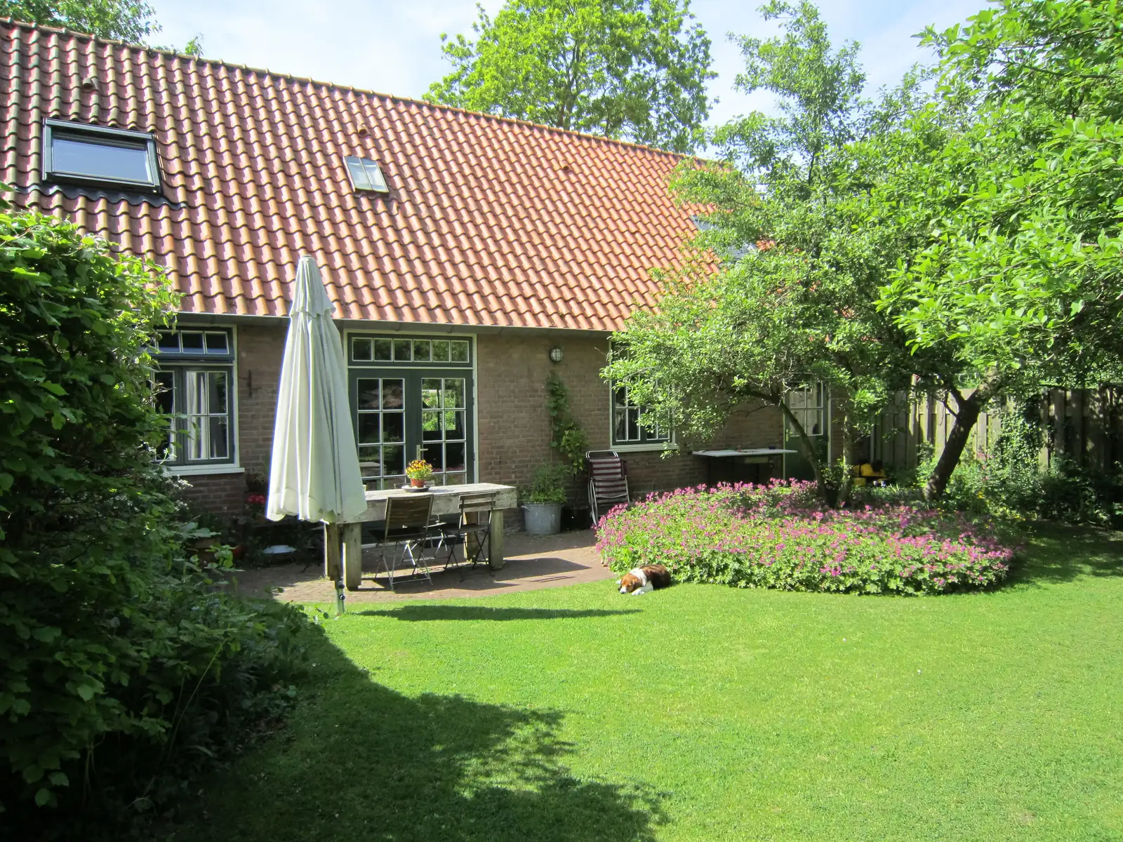 De boerentuin in de zomer