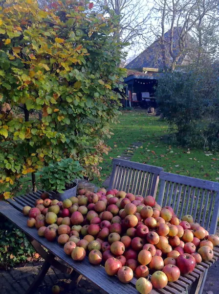 Appels uit de tuin