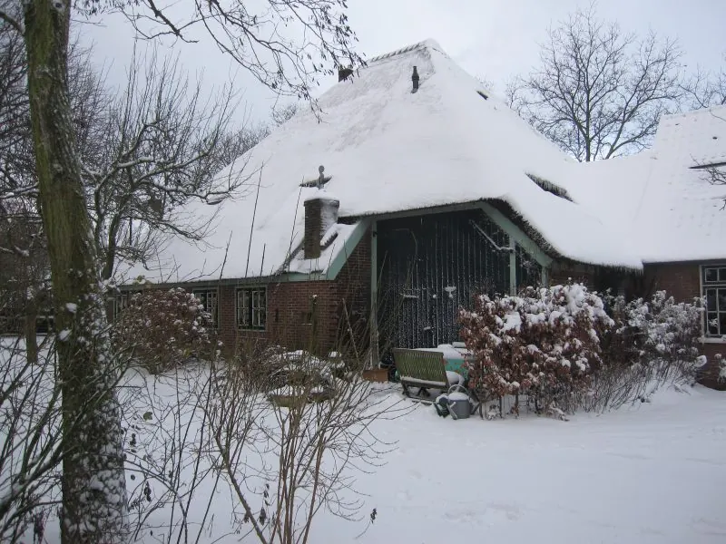 Roos & Linde in de sneeuw
